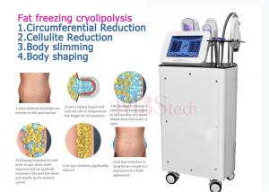 Quality CE Rohs Weight Loss Body EMShapeing Cryolipolysis Machine wholesale