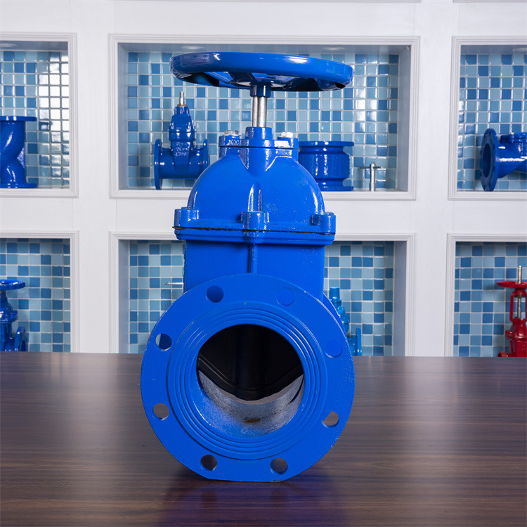 Ggg50 100mm 4inch Cast Iron Soft Seal Rubber Seat Gate Valve Low Temperature