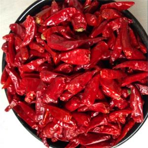 Quality Strong Pungent Red Bullet Chilli Without Stem Dehydrating 30000 Shu wholesale