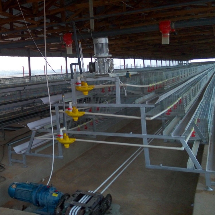 A Type Layer Manure Cage Hot Dip Galvanized Cage Broiler On Poultry Farm