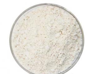 Quality Phloretin,CAS NO.: 60-82-2 wholesale