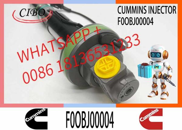 Fuel Injector Assembly 0986435614 F0OBJ00004 F00BJ00005 Y431K05394 FO0BJ10006