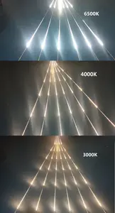 Chasing Light Running Water 2835 LED Strip SMD DC 24V Ws2811 120leds/M White Red Green Blue Purple Golden LED Strip