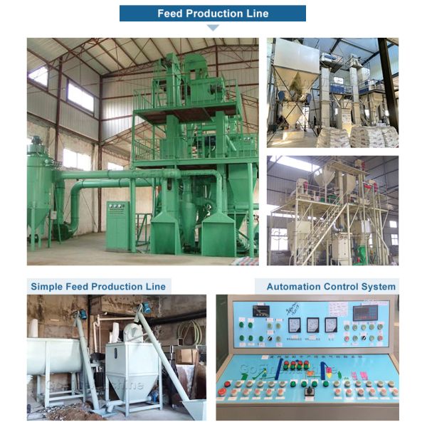 Reliable Feed System Animal Feed Pellet Production Line With Customizable Options