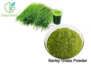 Quality Green Fine Barley Grass Powder / Barley Grass Juice Powder Lower Blood Sugar wholesale