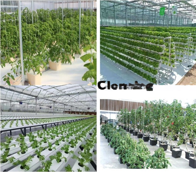 Hot Dip Galvanized Steel Tube Frame Multi Span Agricultural Greenhouse