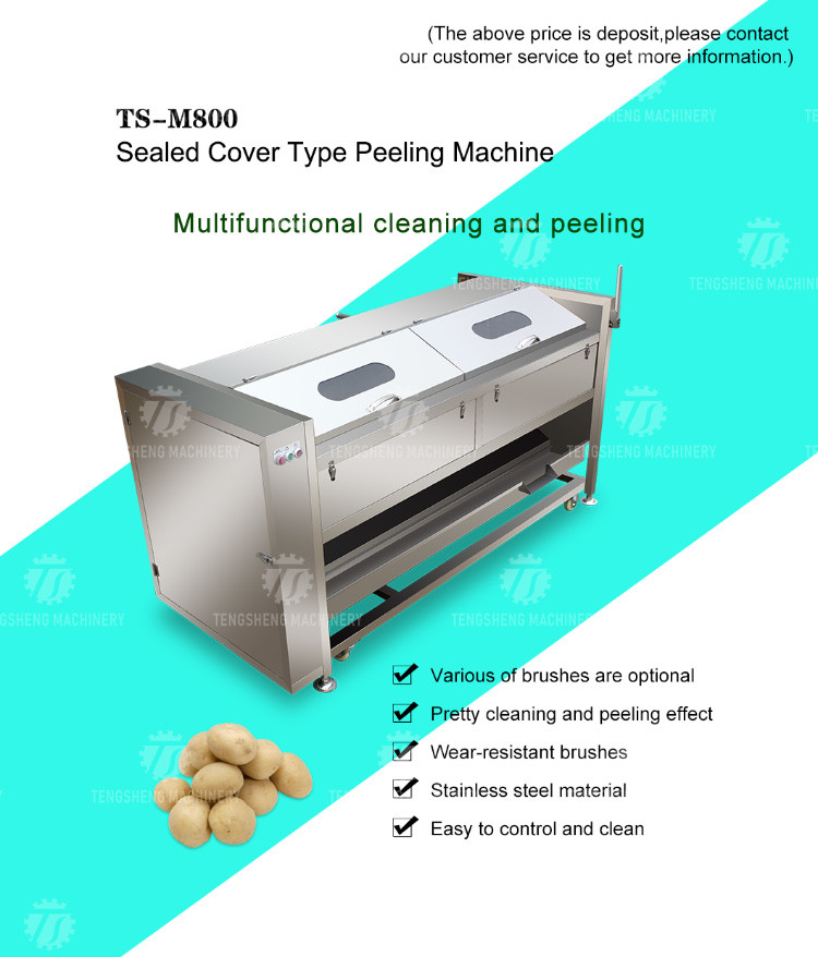 380KG Stainless steel wool roller peeling cleaning machine turnip automatic fruit and vegetable peeling