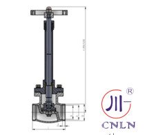 DN25 Cryogenic Globe Valves For LNG LOX LIN LAr CO2 PTFE Valve CF8 CF3