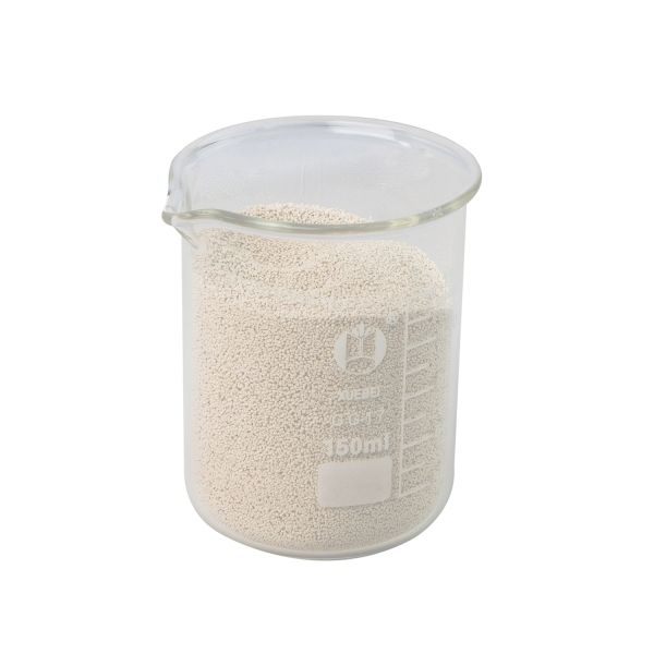Xylanase Enzyme