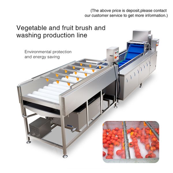 SS 380V Industrial Vegetable And Fruit Washing Machine