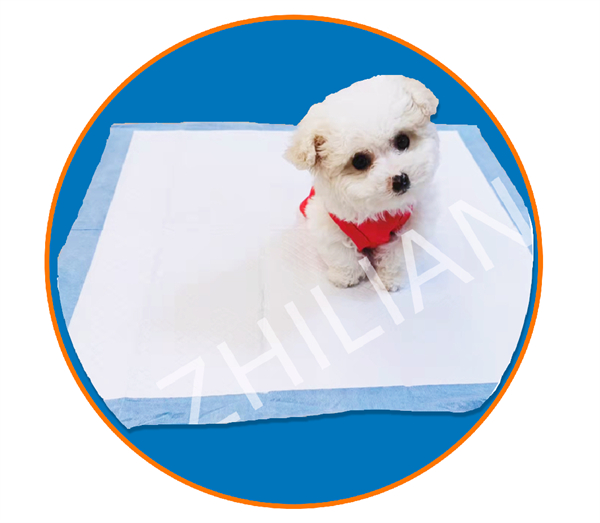 Multipurpose Pet Training Pad Machine 170 m/min 300 m/min