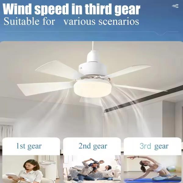 Cheap wholesale    Dimmable Lamp E27 Socket LED Bulb 5 Blade Fan Light Led Bulb With Fan for sale