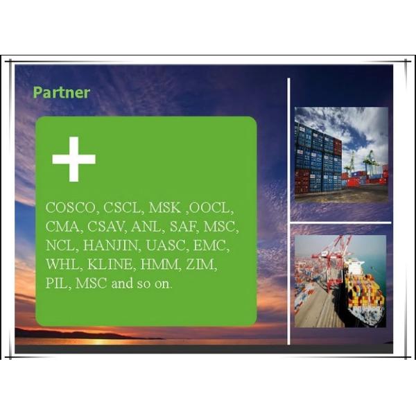 China to South America Air Freight Service 5-7 Days Transit