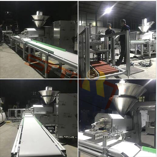 Protein Packed Meat Snack Processing Pet Making Machine For Dog Stick Food