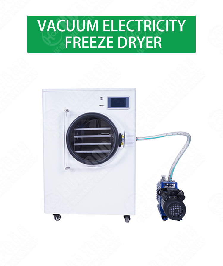 Automatic Equipment Kitchen Dry Potatoes Large Freeze Dryer home food freeze dryer
