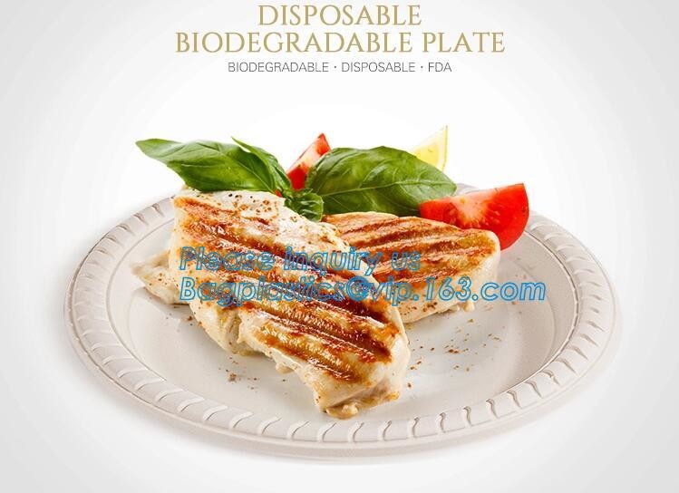 Disposable Plastic food delivery box Printing Sushi Tray For Food Packaging,HIPS Material Disposable Black Plastic Food