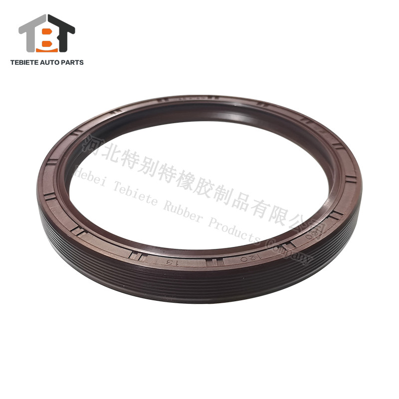 100x120x13 National TC Type Rotary Shaft Seal Mitsubishi NBR Rubber Oil Seal