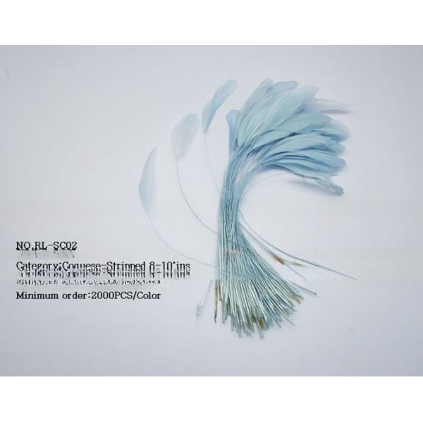 FEDEX Shipping for Millinery Supplies Stripped Coque Feather