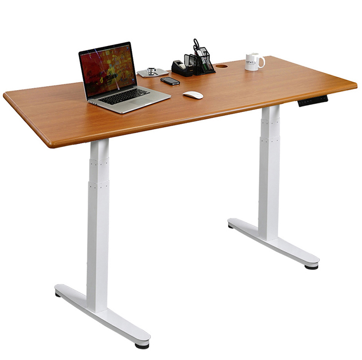 2023 Dual Motor Electric Sit Standing Study Table Modern Luxury CEO Office Desk for Adult