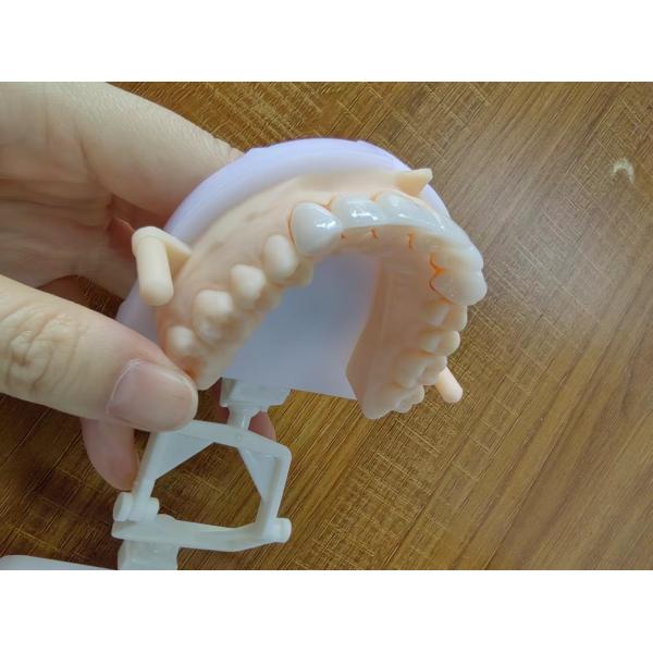 Natural Esthetics Layered Zirconia Crown Bridge For Beautiful Smile And Good Restoration FDA And CE Certification