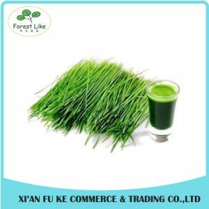 Quality High Quality Green barley grass juice powder wholesale