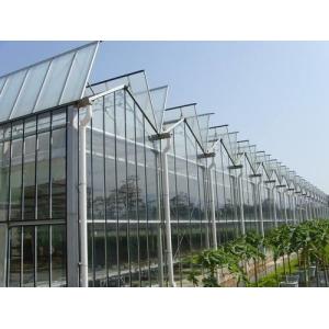 Quality Simple Constructure Commercial Glass Greenhouse With Galvanized Steel Screws / Bolts wholesale