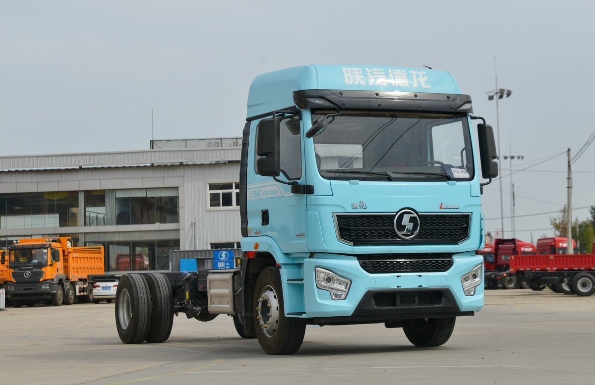 Transport Vehicle 245HP Support Customization Shacman L3000 4x2 Cargo Truck