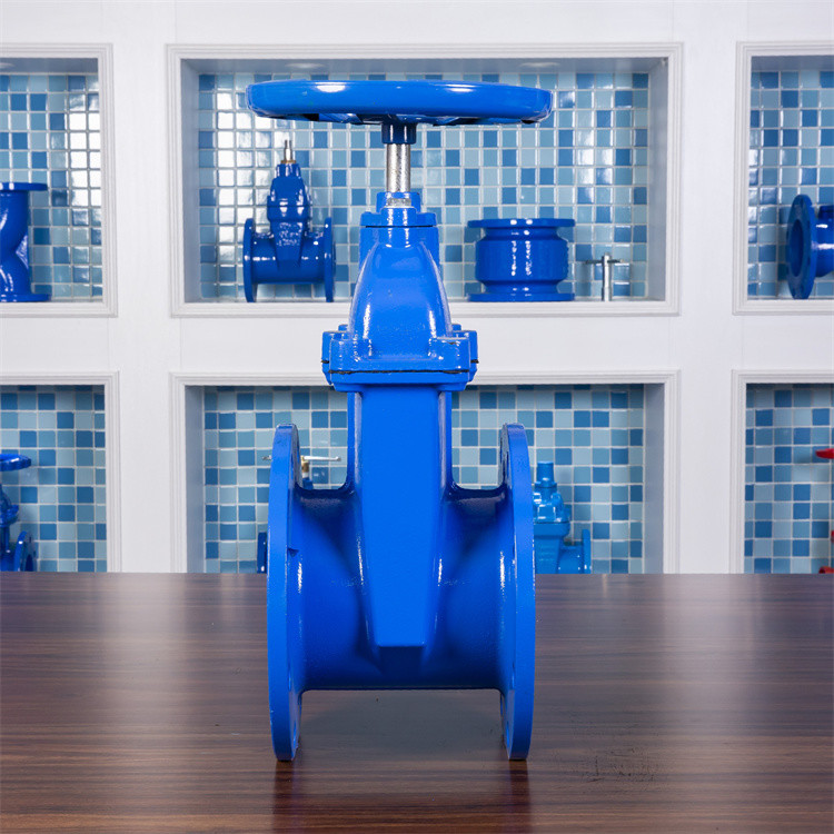 Ggg50 100mm 4inch Cast Iron Soft Seal Rubber Seat Gate Valve Low Temperature