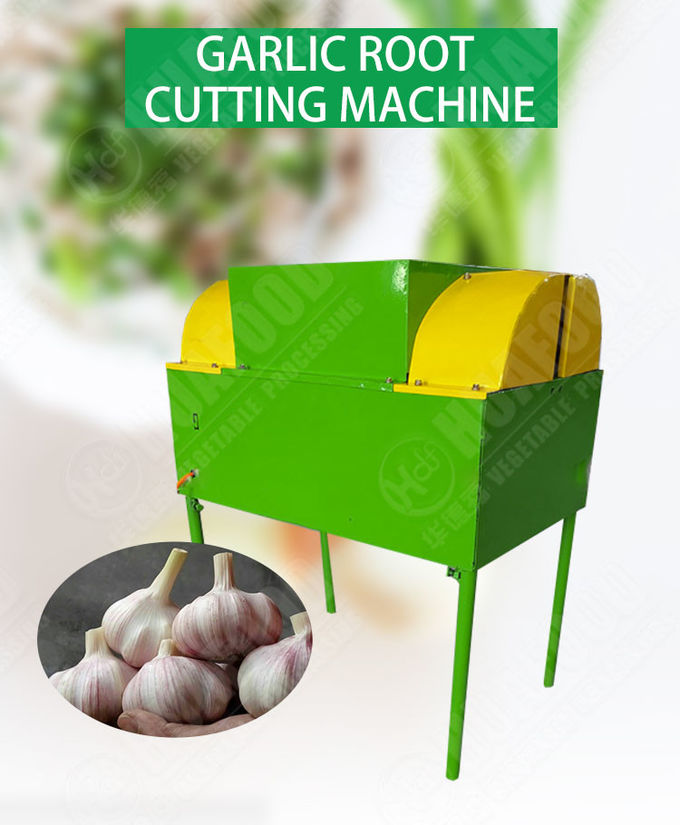 4000pcs/hr Fresh Garlic Root And Stem Cutting Machine Garlic Root Cutter Machinery