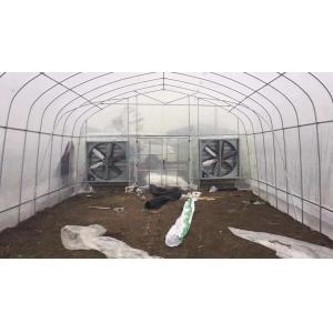Vegetables Plant Polyethylene Film Greenhouse With Cooling System Easy Install