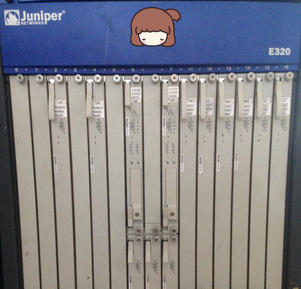 Juniper ES2-100G-SFM,E320 100Gb switch fabric module (SFM).