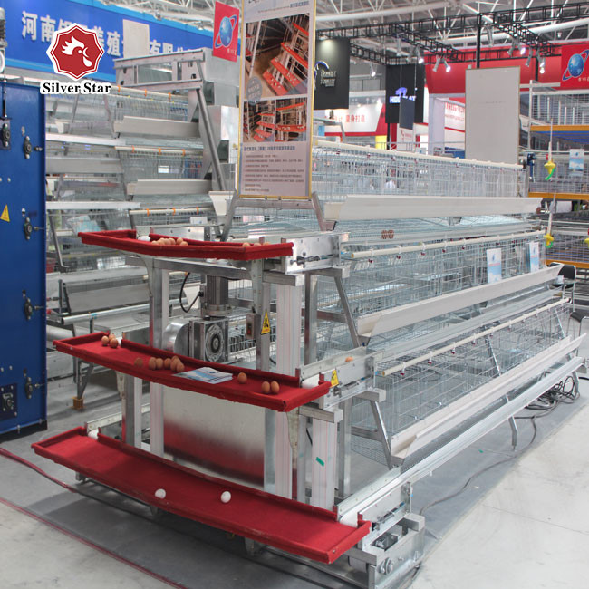 Full Automatic Battery Chicken Cage A Type Galvanized Silver Color