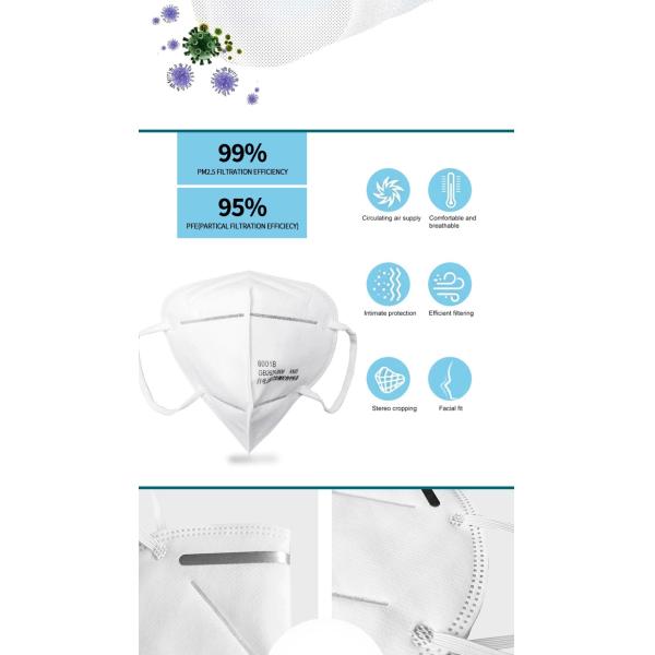 Elastic Ear Loop Reusable Dustproof KN95 Face Mask