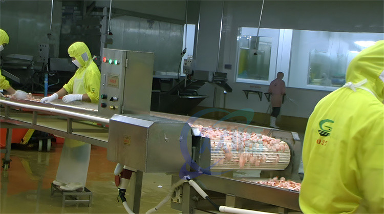 Commercial continuous automatic shrimp cooking and heating steam blanching