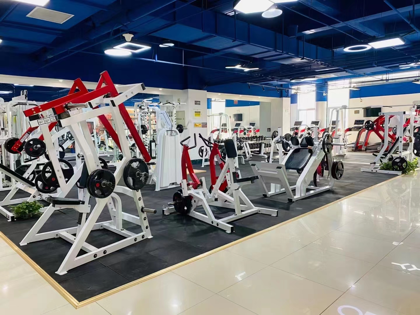 New Design 2.5kg-50kg CPU Dumbbells Gym Free Weight Training