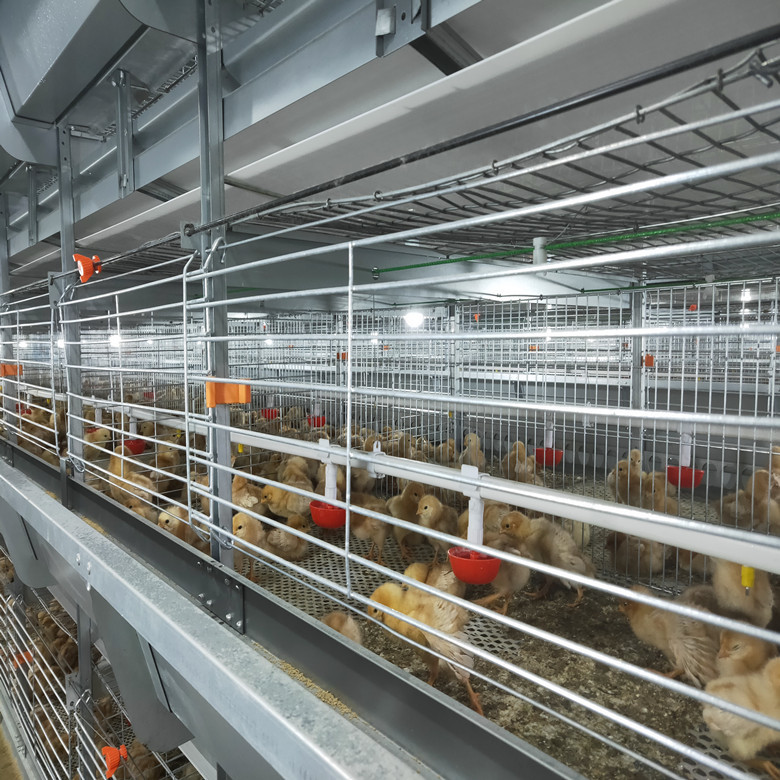 Hot Galvanized H Type Chick Brooder Cage 5 Tiers 170 Birds