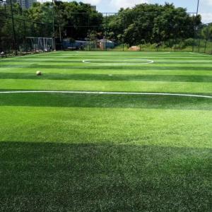 China Realistic Indoor/Outdoor Artificial Grass/Turf on sale