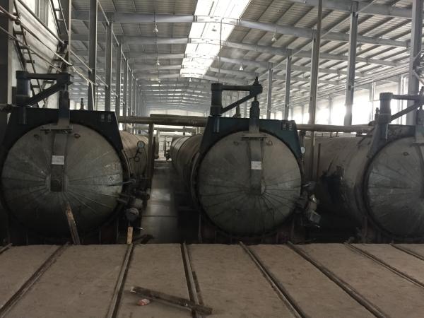 ASME Standard AAC Autoclave Pressure Vessel Autoclave With Autoclaved Aerated