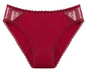 China Reusable Heavy Female Period Panties Underwear Set Mesh Lace Menstrual Cycle Panties on sale