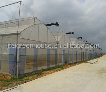 Multi Span Agriculture Greenhouse Height 3m Customized Length 50m