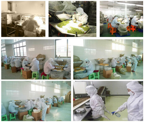 Dehydrated Garlic Flakes/Granules/Powder