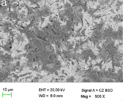 Co-Cr Dental Base Metal Alloy