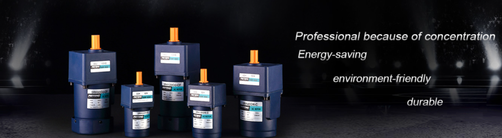 FEITENG gear motor