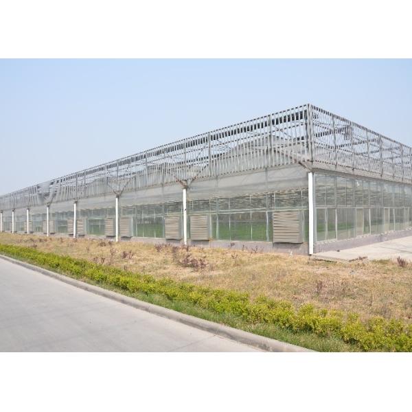 Modular Agricultural Greenhouse For Sale Dome Roof Cover Film Side Cover Multi Span Cucumber Lettuce Growing
