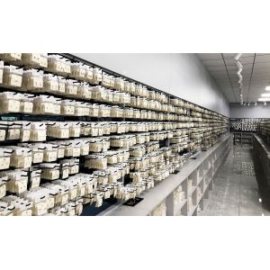 Shenzhen Hongti Jewelry Co., Ltd.