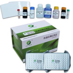 Quality Porcine Circovirus Veterinary Elisa Kit Antibody Fast Detection wholesale