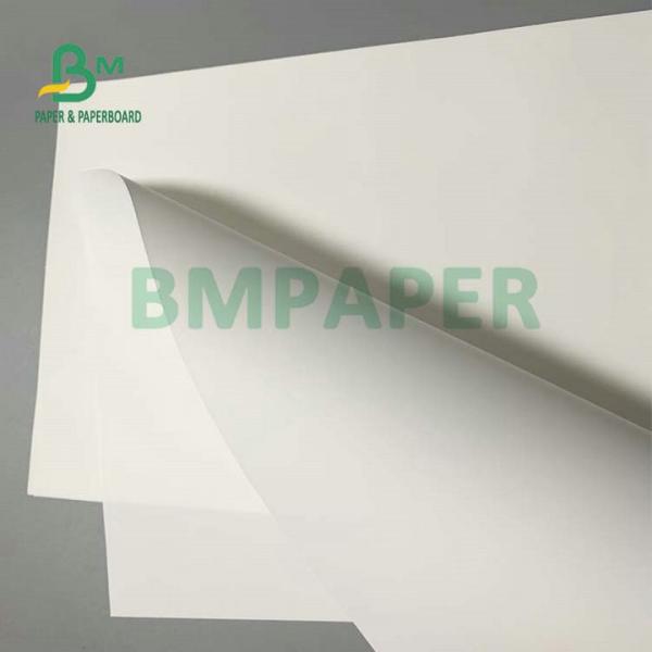 150g 200g Backside Matte Synthetic Paper A4 A3 Inkjet Printing  