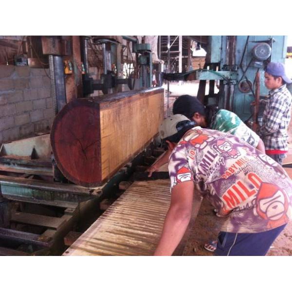 MJ3210 Vertical CNC Bandsaw ,Saw Machine for Wood,Vertical Cutting Bandsaw with Carriage