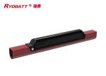 RYDBATT ID-PRO(36V) Lithium Battery Pack Redar Li-18650-10S5P-36V 13Ah For
