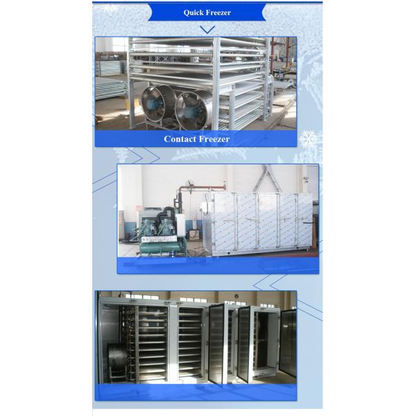 Contact Plate Freezer Blast Freezing Machine with good quality for fish and meat